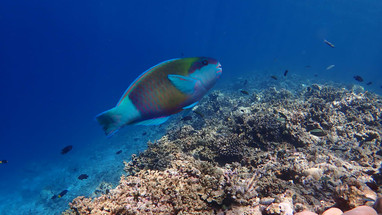 Sport & Freizeit Banyan Tree Vabbinfaru