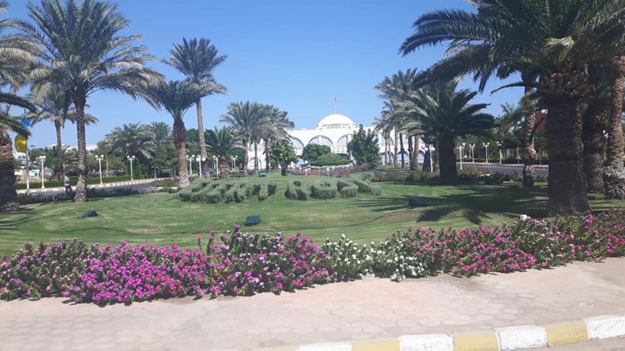 Gartenanlage Desert Rose