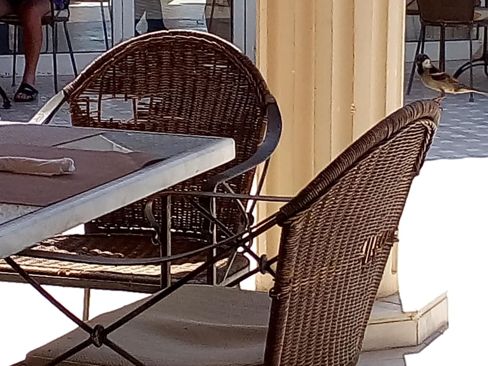 Gastro Grand Waterworld Makadi & Family Star Makadi