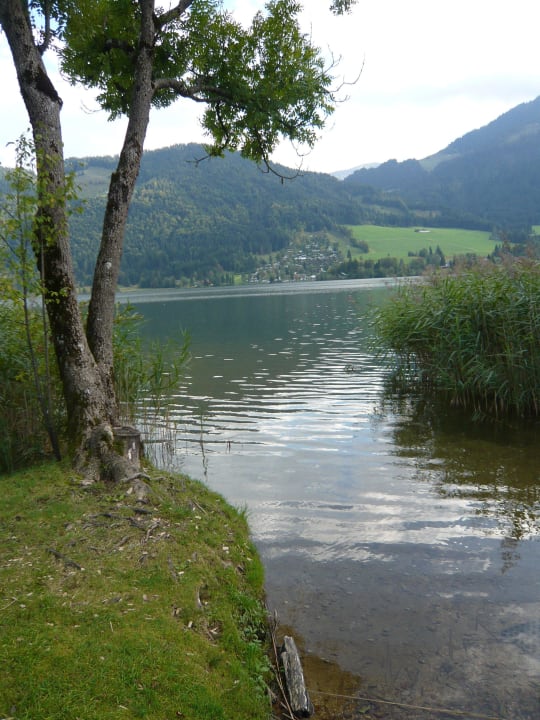 Landschaft Hotel Bellevue am See