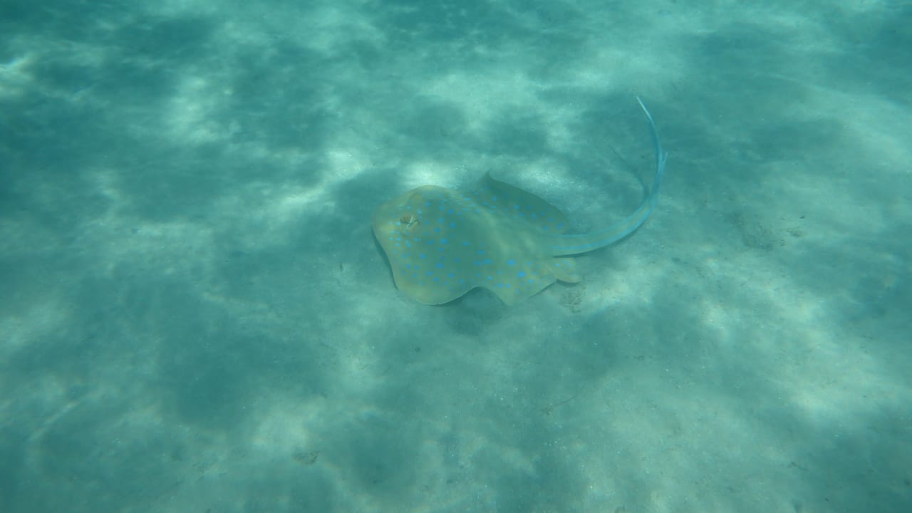 Sport & Freizeit Premier Le Reve Hotel & Spa