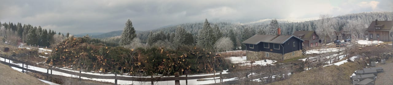 Vom Zimmerfenster aus Torfhaus Harzresort