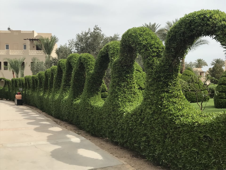 Gartenanlage Jaz Makadi Oasis Resort