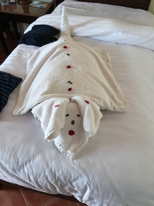 Zimmer Three Corners Sea Beach Resort