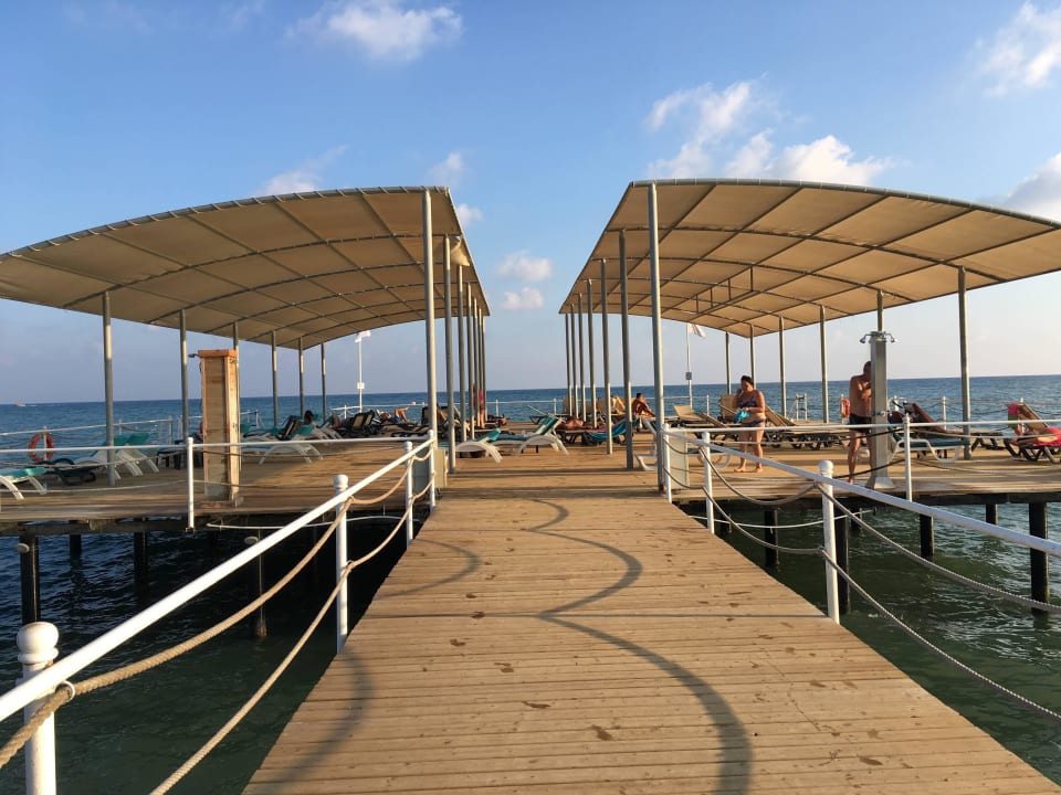 Liegen auf dem Wasser Papillon Ayscha