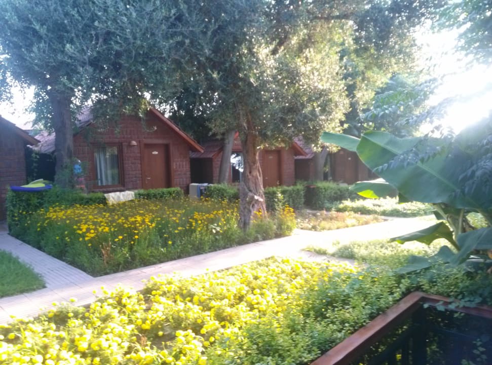 Gartenansicht und Bungalow Can Garden Beach