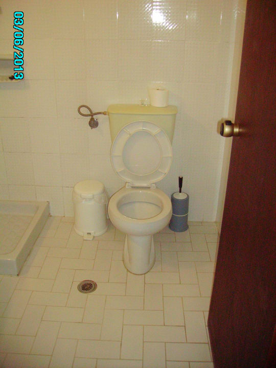 WC mit Eimer für Papier Pension Dina