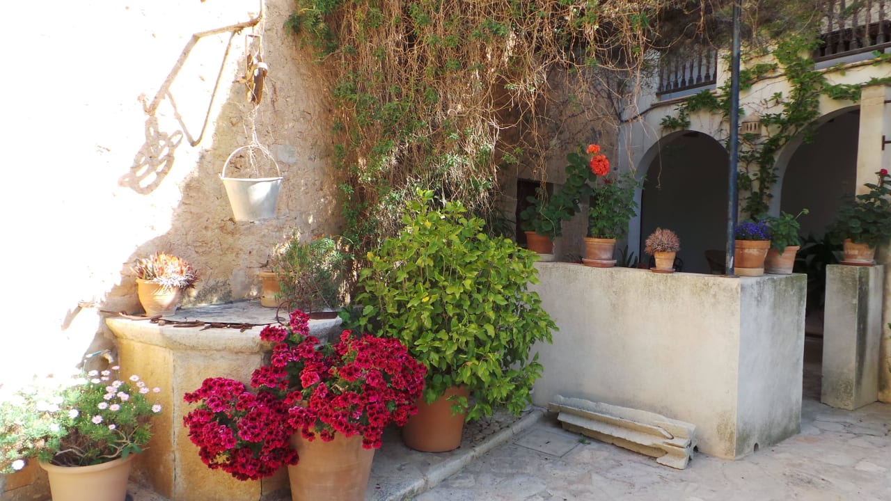 Garten Hotel Finca Raims