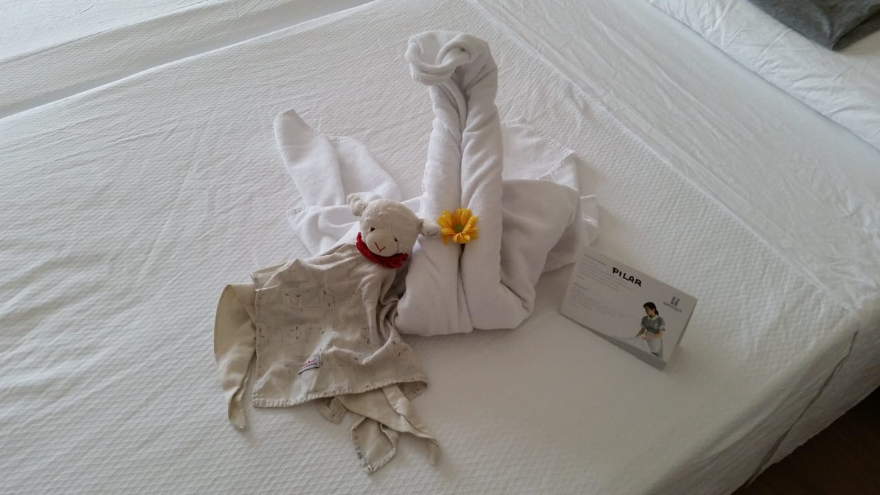 Top Service!!! Hipotels Hipocampo Playa