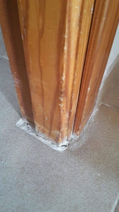 Neu? Globales Bouganvilla