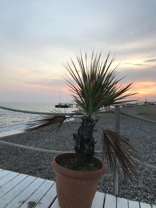 Strand Selectum Family Resort Side