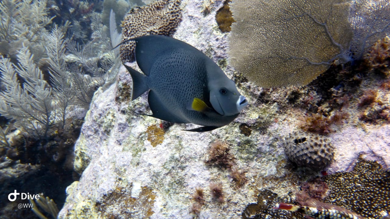 Sport & Freizeit Akumal Bay Beach & Wellness Resort