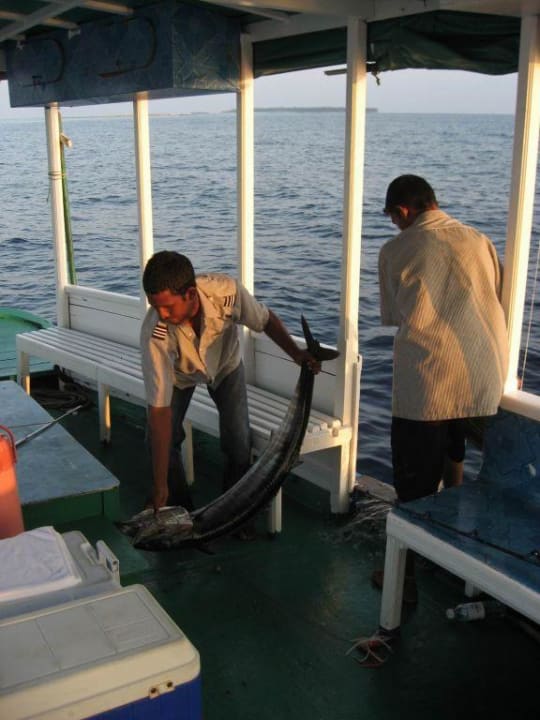 Morning-Fishing Filitheyo Island Resort