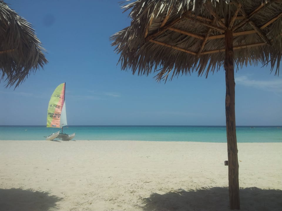 Strand Starfish Cuatro Palmas