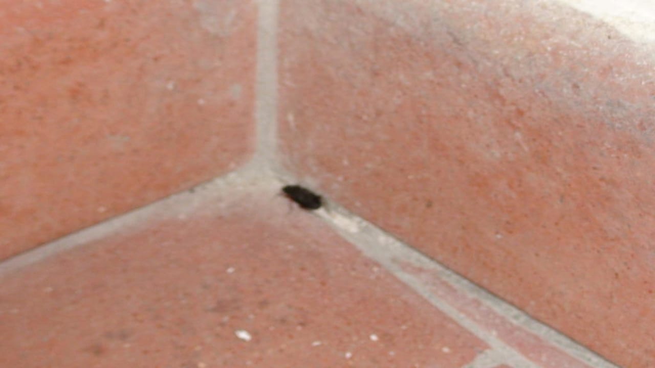 Käfer Hotel Antico Borgo San Lorenzo