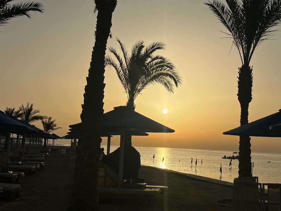 Ausblick Beach Albatros Resort