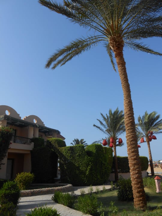 Аллея Ali Baba Palace Resort