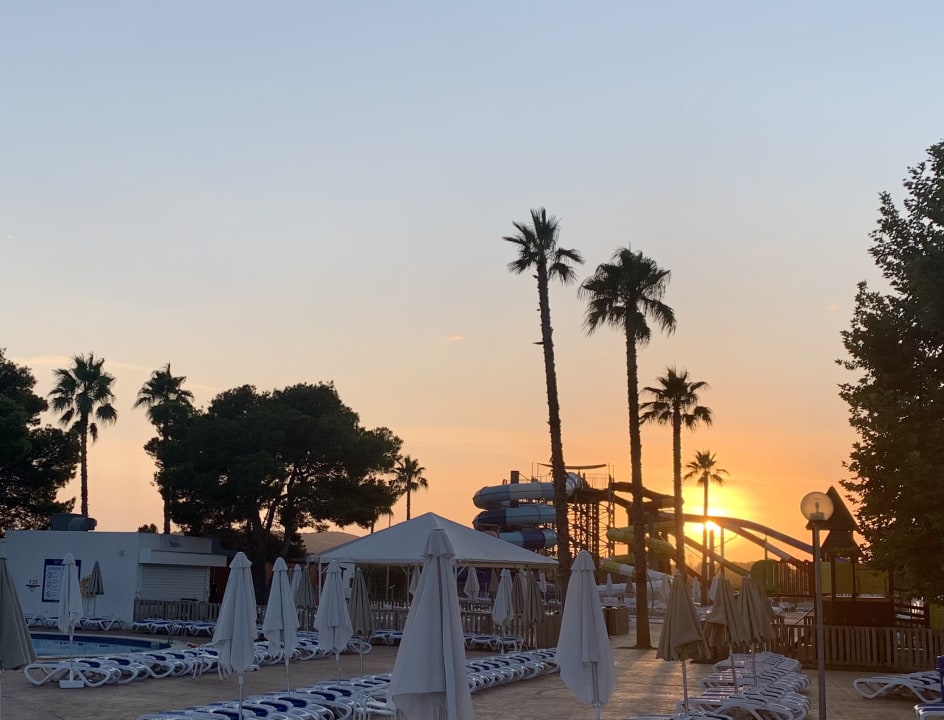 Sport & Freizeit Globales Bouganvilla