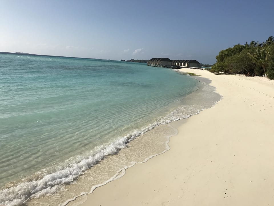 Sehr schöner Strand Summer Island Maldives