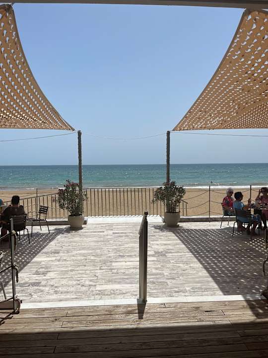 Strand Seashell Vega