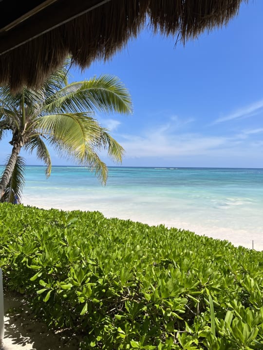 Ausblick Akumal Bay Beach & Wellness Resort
