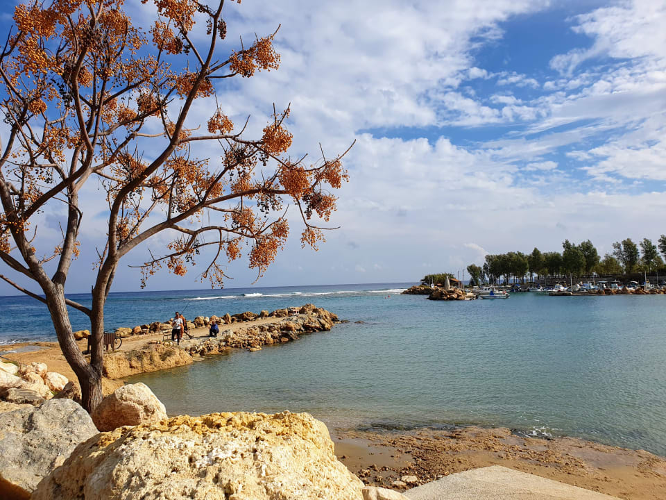 Strand Crystal Springs Beach Hotel