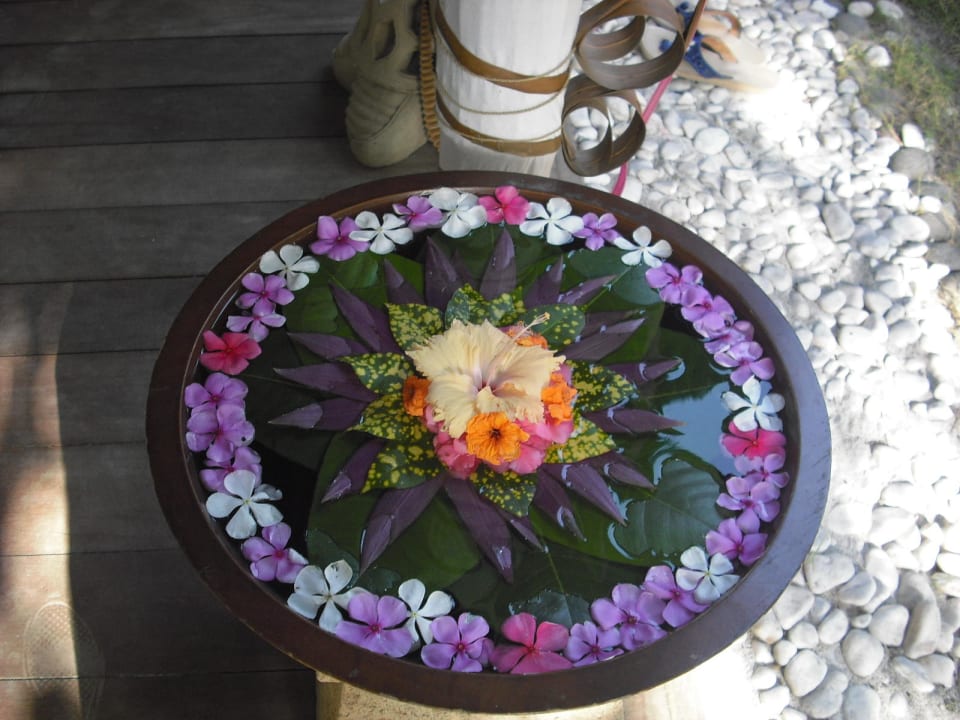 Blumenmotiv NH Collection Maldives Reethi Resort