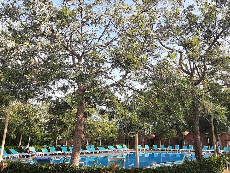 Pool Can Garden Beach