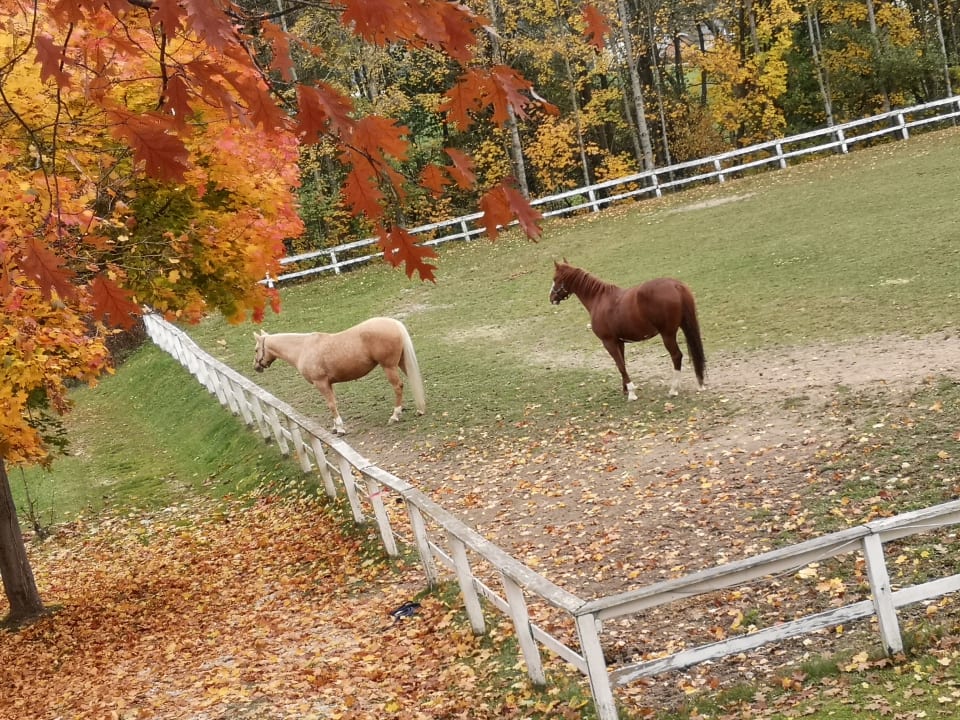 Sonstiges Aldiana Club Ampflwang