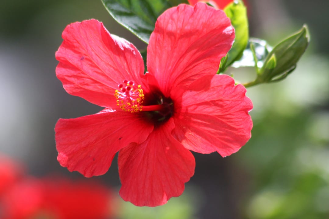 Gartenanlage Aldiana Club Rocca Nettuno Calabria