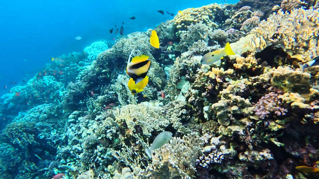 Strand Casa Mare Resort