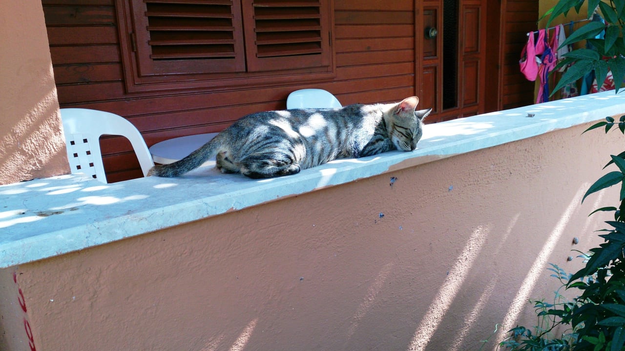 Siesta auf der Tarrasse Özlem Garden Hotel