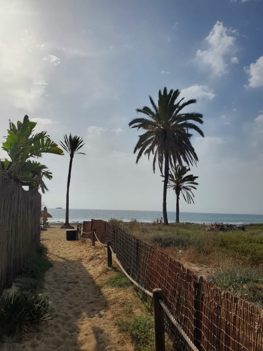 Strand FERGUS Style Bahamas