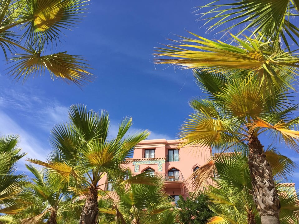 Liegen unter Palmen Playacanela Hotel