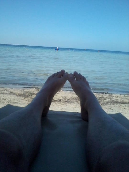 Täglicher Blick Hotel Rosa Beach