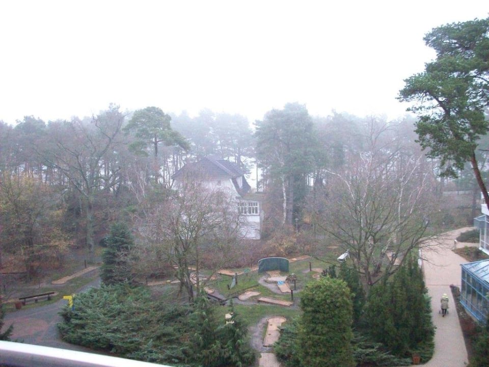 Blick vom Zimmer in den Garten zum Meer IFA Rügen Hotel & Ferienpark