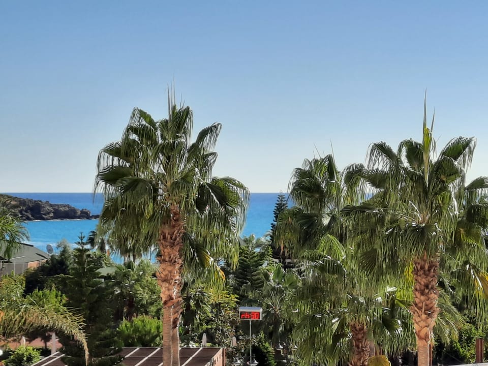 Gartenanlage Saphir Resort & Spa