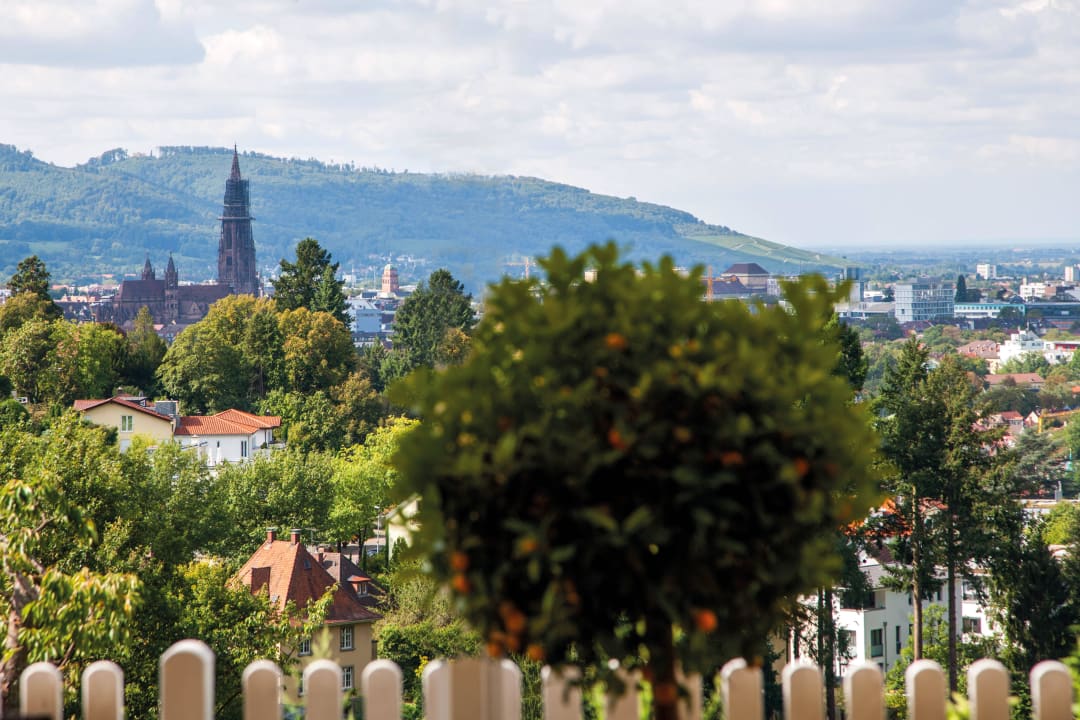 Panorama-Blick Mercure Hotel Panorama Freiburg