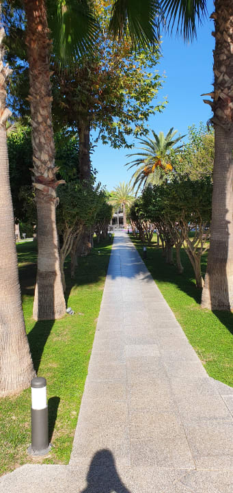 Gartenanlage Hotel Miramare Beach