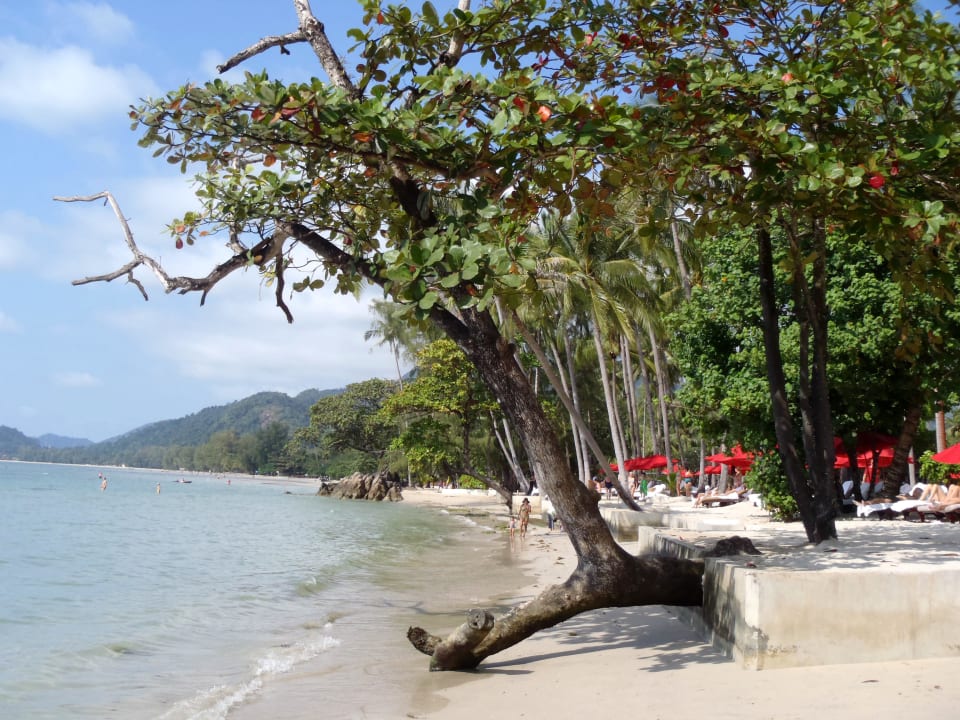 Ein Traum trotz Mäuerchen.. Dinso Resort & Villas Ko Chang, Vignette Collection by IHG