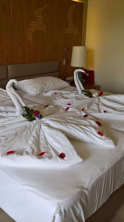 Zimmer PALOMA Perissia