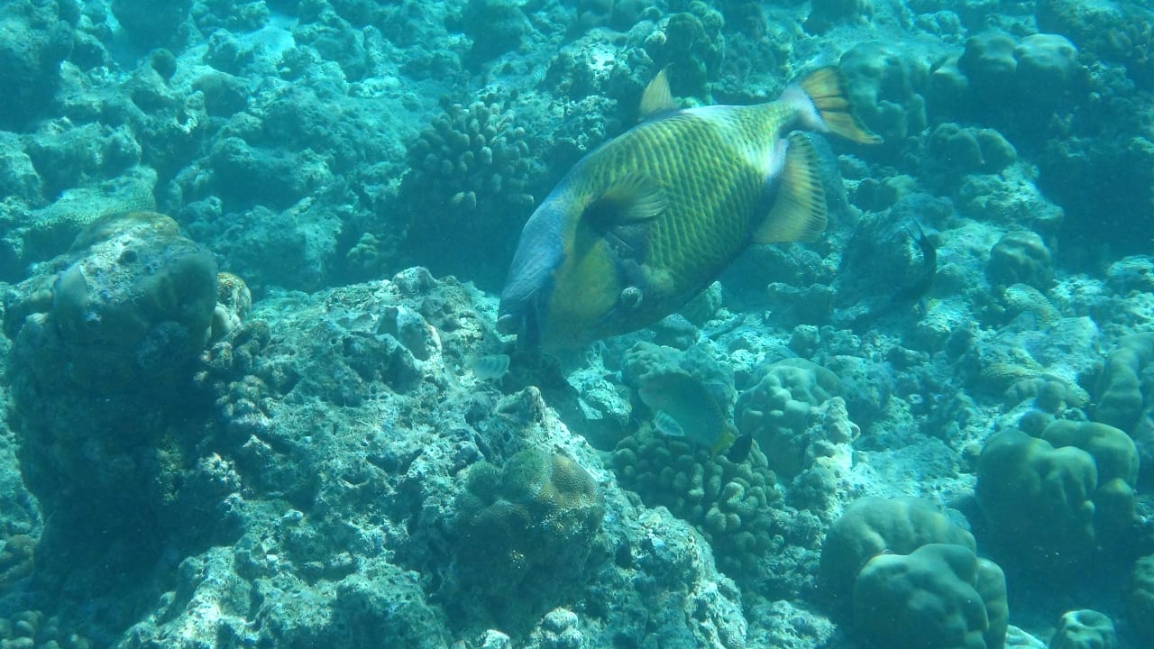 Sport & Freizeit NH Collection Maldives Reethi Resort