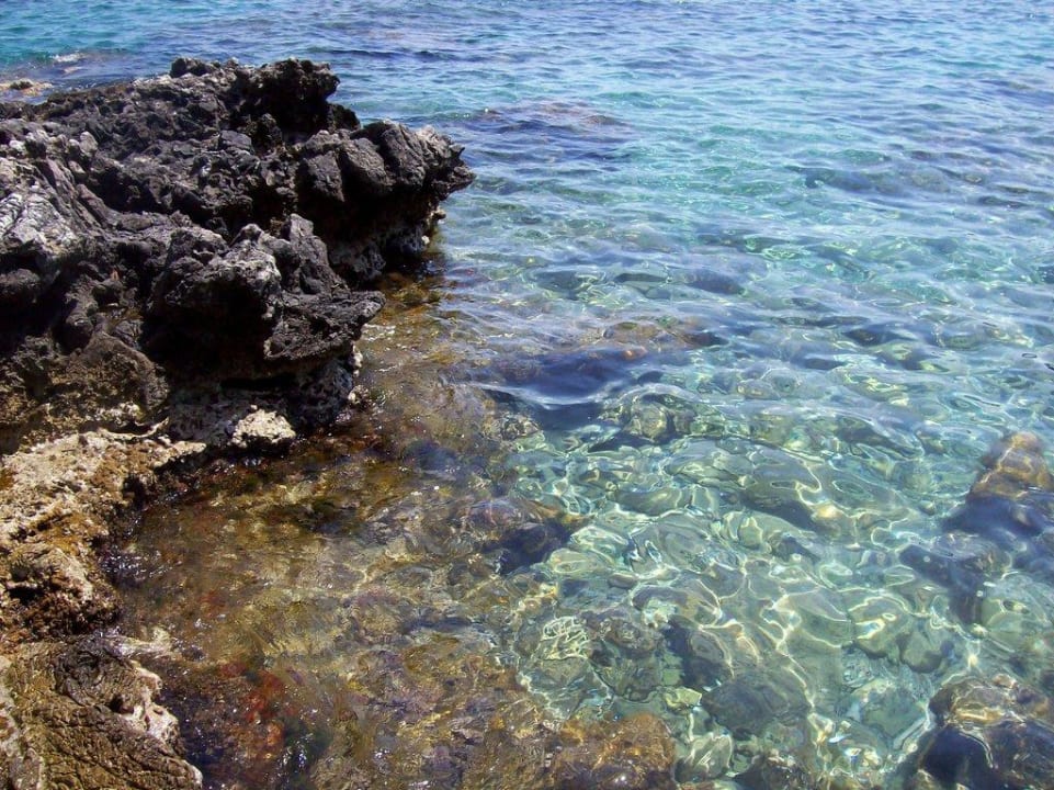 Kristallklares Wasser Hotel Kalithea Horizon Royal