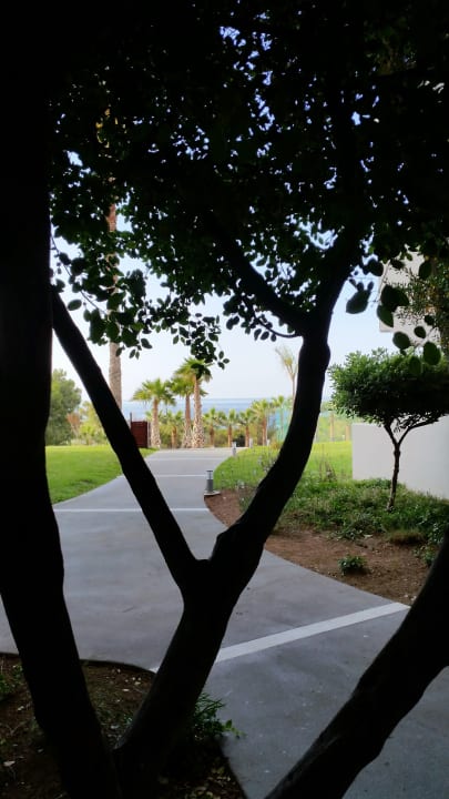 Gartenanlage Rodos Princess Beach Hotel & Spa