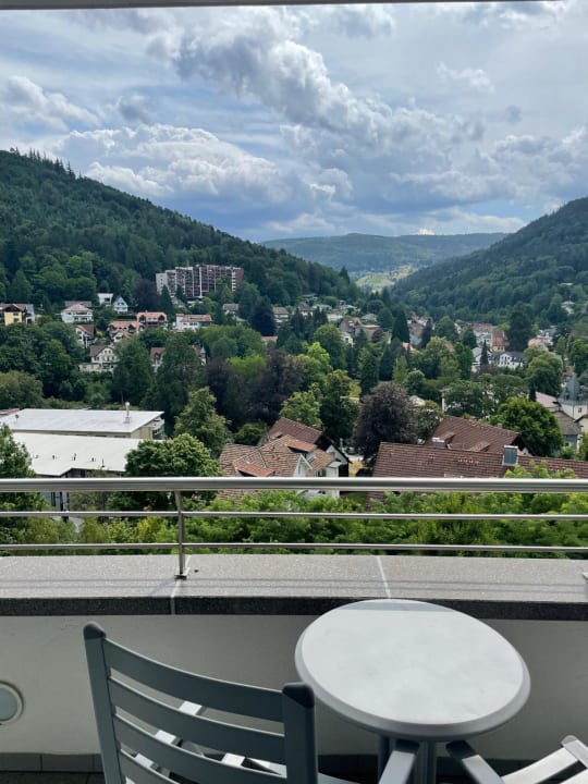 Ausblick Hotel Schwarzwald Panorama