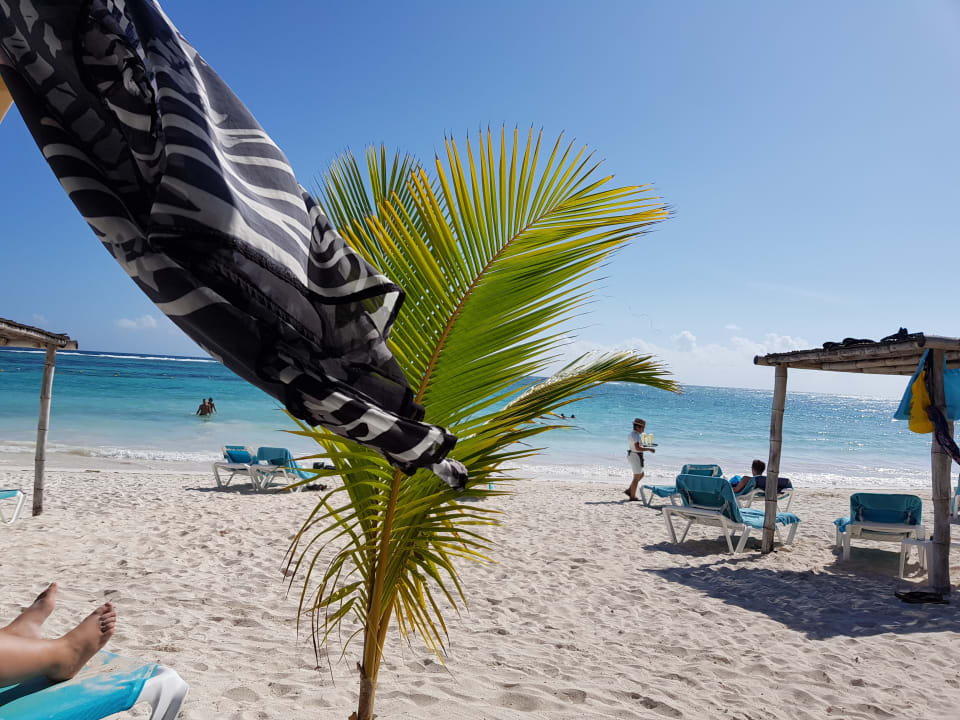 Cocktail am Strand Akumal Bay Beach & Wellness Resort