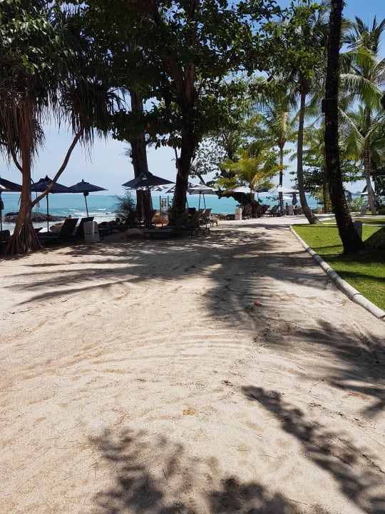 Gartenanlage Moracea by Khao Lak Resort