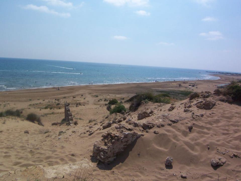 Düne nebenan mit diversen Ausgrabungen Royal Atlantis Beach Hotel