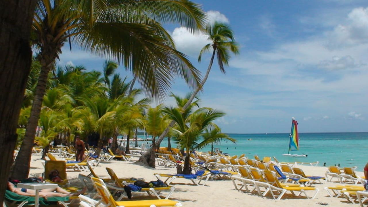 Hotelstrand am Viva Palace Hotel Viva Dominicus Palace by Wyndham-All Inclusive Resort