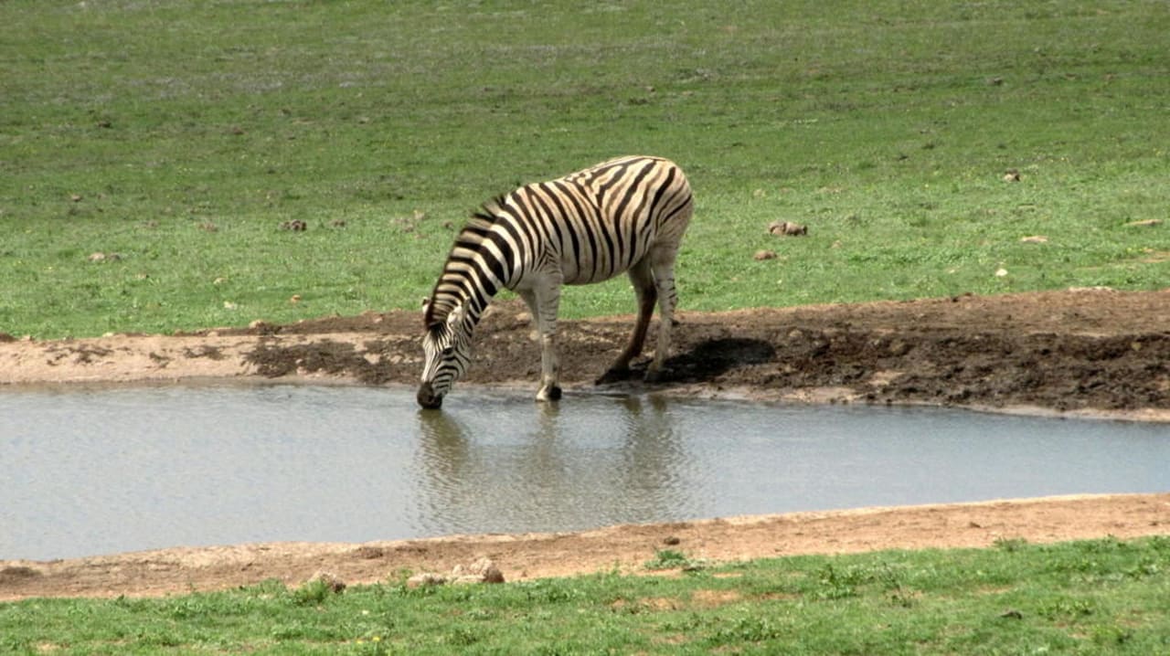 Vom Frühstückstisch Hotel Gorah Elephant Reserve